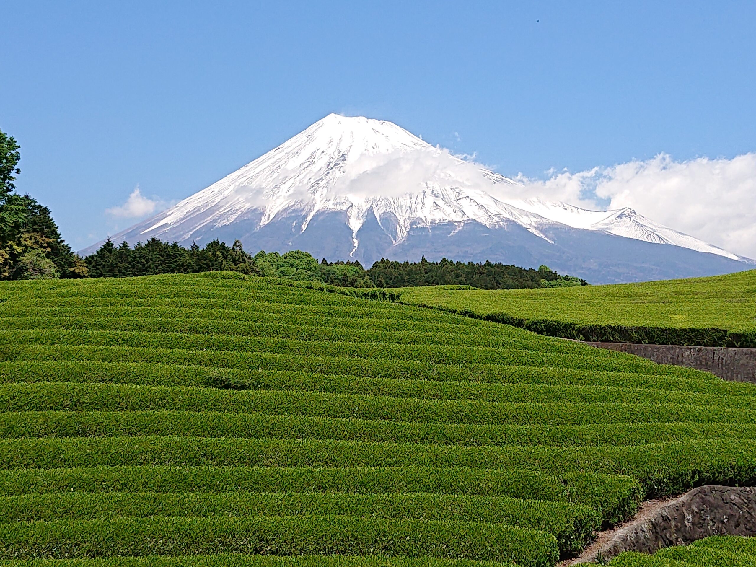 富士山